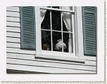 03 Window * 652 x 492 * (50KB)